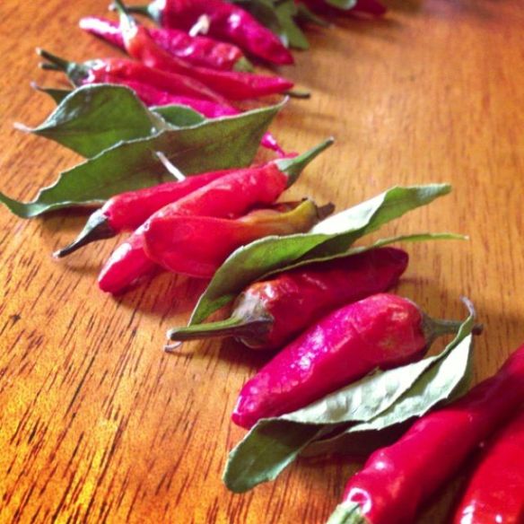 Chilli and curry leaf garland