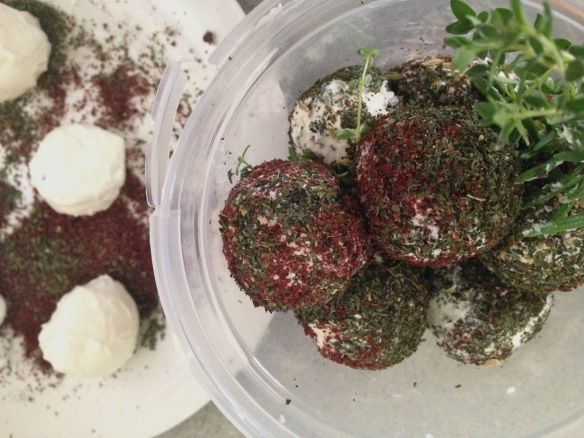 spice-covered labne balls in plastic container